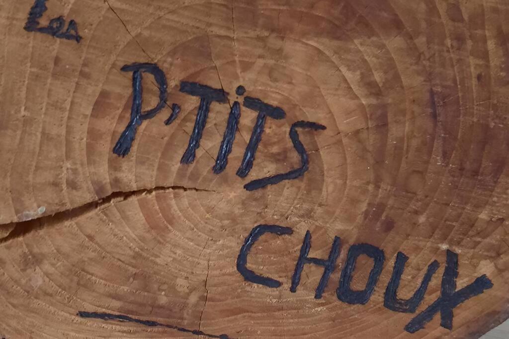 Gite Les Ptits Choux Saint-Quentin-Lamotte-Croix-au-Bailly Exterior foto